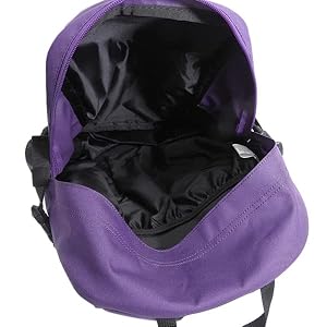 ノースフェイス　ミニショット　リュック　パープル　レインカバー ノースフェイスミニショットリュックパープルレインカバー
